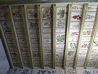 Chateau de Mauriac (51), Chambre de l'herbier, Plafond